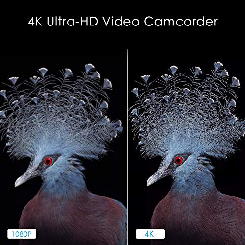 4K Camcorder Video Camera,Regemoudal 1080P 4k 128GB 48MP 3 Inch WiFi Digital Video Camera Camcorder,Capactive Touchscreen IR Infrared Night Vision 16X Digital Zoom Recorder