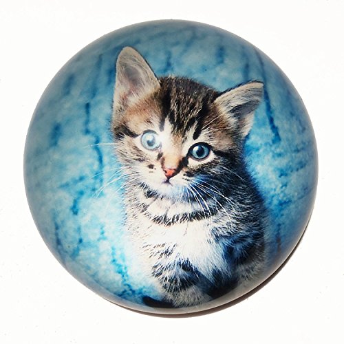 Animal Paperweights Kritters in the Mailbox Animal Paperweight