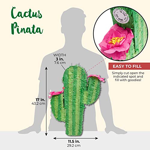 1 Cactus+Pinata+Large+Standard+Size