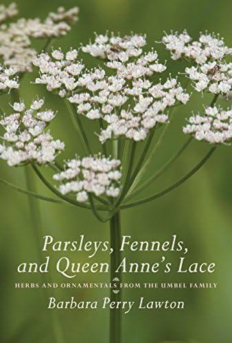Parsleys Fennels & Queen Annes Lace: Herbs and Ornamentals from the Umbel Family