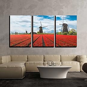 3 Piece Canvas Wall Art - Windmill with Beautiful Tulip Field in Holland. - Modern Home Art Stretched and Framed Ready to Hang - 16"x24"x3 Panels