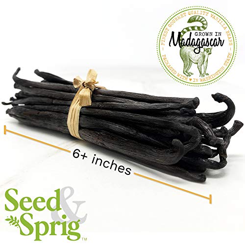 Seed & Sprig Madagascar Bourbon Vanilla Beans 25 Pack Bulk Whole