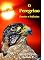 Livro O Peregrino: Poesias e Reflexões