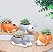 Corgi Shaped Succulent Flower Pots -Plants Not Included