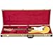 Yaheetech Rectangle Shaped Tweed Hard-shell Guitar Case for Strat/Tele-Gold