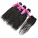 Hermosa Brazilian Curly Human Hair Bundles with Closure Grade 10A Virgin Unprocessed Brazilian Hair Weave Bundles with Closure Free Part 10 12 14 with 8