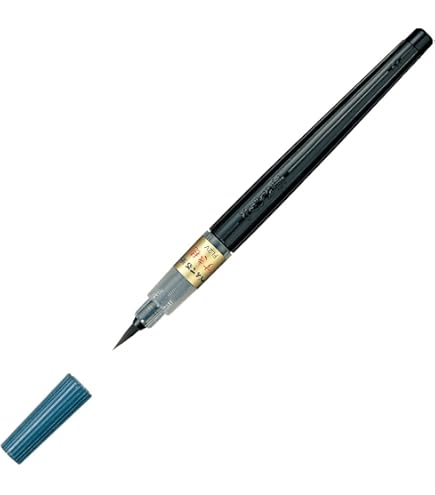 Amazon.com : Pentel XSFW34A Brush Pen, Twin, Bold, Extra Fine