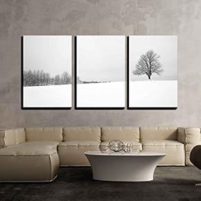 3 Piece Canvas Wall Art - Winter with Snow and a Lonely Tree in a Field - Modern Home Art Stretched and Framed Ready to Hang - 16"x24"x3 Panels