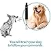 Higo Dog Whistle to Stop Barking, Adjustable Pitch Ultrasonic training tool Silent Bark Control for Dogs- Pack of 2 PCS Whistles with 1 Free Lanyard Strap