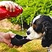 H2O4K9, Dog Water Bottle and Travel Bowl, 25-Ounce, Jet Black