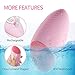 LANDWIND Facial Cleansing Brush, Sonic Face Brush Deep Cleaning for All Skins Anti-Aging Silicone Facial Cleanser Daily Cleansing&Exfoliation Rechargeable Waterproof Vibrating Facial Massager Scrubber
