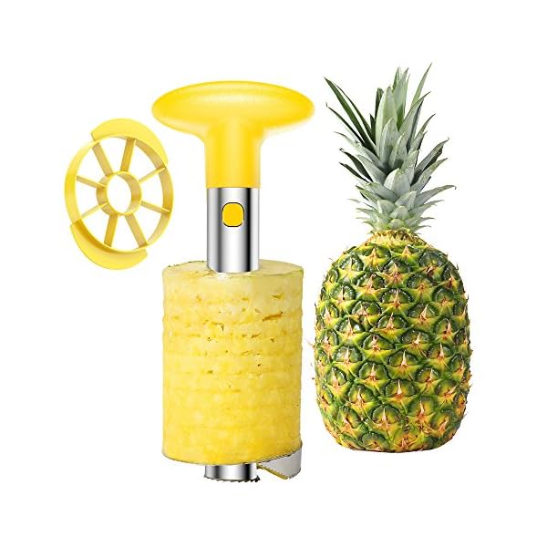 Best Pineapple Peeler Corer Slicer Cutter 2020 Kitchen Gadget