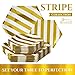 Silver Spoons Disposable Dinnerware Set | Stripe Collection, 18 Servings, White/Gold