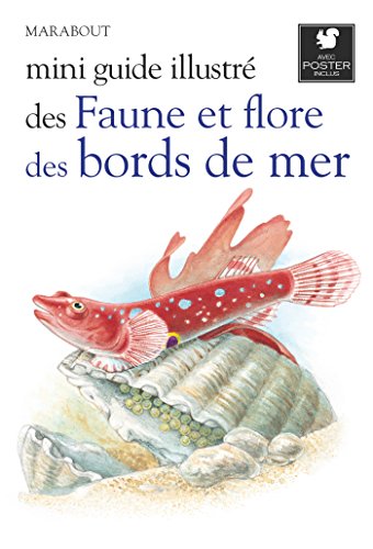 Faune et flore des bords de mer