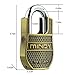Mindy Heavy Duty Padlock with Keys Unique Style Special Chains Lock,1-Pack High Security Padlock, AF8-50