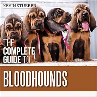 The Complete Guide To Bloodhounds Finding Raising Feeding Nose Work And Tracking Training Exercising And Loving Your New Bloodhound Puppy Audible Audio Edition Kevin Stueber Jeff Blair Lp Media Inc Books Amazon Com