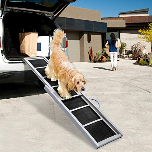 extendable dog ramp