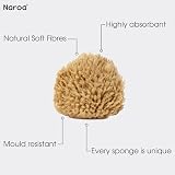 Naroa Natural Baby Sponge Soft Sea Wool Unbleached 2 Pack view 5