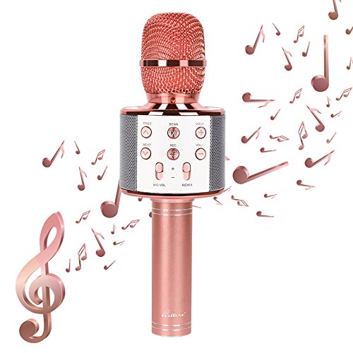 Wireless Karaoke Microphones Speaker - HAITRAL Portable Bluetooth Speaker Microphones Karaoke Machine for iPhone Android PC All Smart Phone Home Birthday Party (Rose Gold)