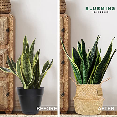 Plant Baskets Extra Large Woven Basket Planter for Indoor Plants, Decorative 13 Inch Seagrass