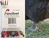 Fancifowl Poultry Leg Band & Charms - 12 Pack