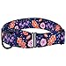 CollarDirect Martingale Collars for Dogs Heavy Duty Floral Pattern Female Safety Nylon Training Wide Collar Flower Design Large Medium (L, Neck Size 15