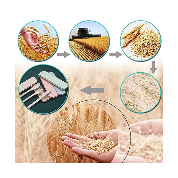 2-Pack-Portable-Travel-Cutlery-Set-Reusable-Flatware-Set-Wheat-Straw-Dinnerware-Set-Tableware-Set-for-Workplace-School-Picnic-Camping-Blue 2 Pack Portable Travel Cutlery Set, Reusable Flatware Set, Wheat Straw Dinnerware Set, Tableware Set for Workplace School Picnic Camping (Blue)