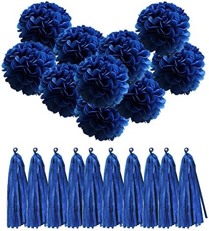 QUCHER 10 Pack Tissue Paper Pompoms Pom Poms Flower Handmade DIY Wedding Decoration Birthday Party Reception Decorations + 10 Pack Paper Tassel Tassels (Dark Blue)