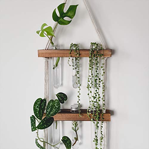OrganicSun Wall Hanging Plant Propagation Station Macrame Wooden Wall