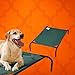 Coolaroo Original Elevated Dog Bed - Breathable Off-The-Ground Pet Bed with Cooling Fabric, Joint Relief & Moisture-Resistant Fabric, 100% Recyclable, Easy Clean, Brunswick Green, Extra Large