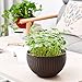 QEESTARS 2 pcs Round Plastic Resin Chain Basket Hanging Planter Hanging Flowers and Plants,Growers Hanging Planter Decor Pot with Watering Can