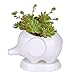 Kawaii Animals Ceramic Flower Pot 2 Styles Elephant Succulent Planter Cactus Succulent Plants Flower Cute White Pot (2 Elephants)
