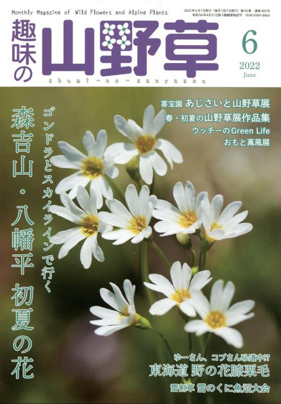 趣味の山野草22年6月号 株式会社栃の葉書房 株式会社栃の葉書房 株式会社栃の葉書房 本 通販 Amazon 趣味の山野草22年6月号 株式会社栃の葉書房 株式会社栃の葉書房 株式会社栃の葉書房 本 通販 Amazon