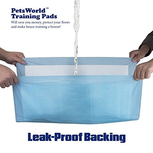 PETSWORLD Absorbent Pet Training Pads, 600 Ct, 17x24