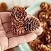 6 Ounces of Assorted Size Mini Natural Pinecones for Potpourri, Bowl Fillers, and Crafting