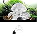 Yunt Plastic Fish Tank Aquarium Snai Catcher Snail Trap to Catch the Snail