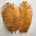 Shekyeo Gold 10-12inch 25-30cm Ostrich Feather Home Decoration DIY Craft Pack of 10