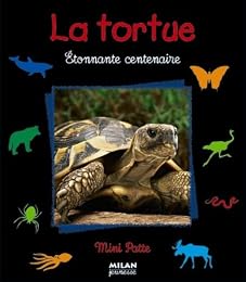 La  tortue