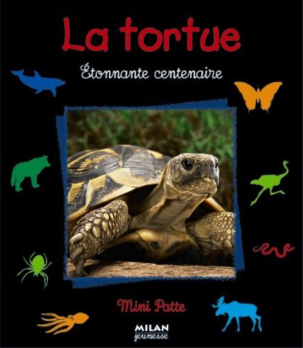 La  tortue