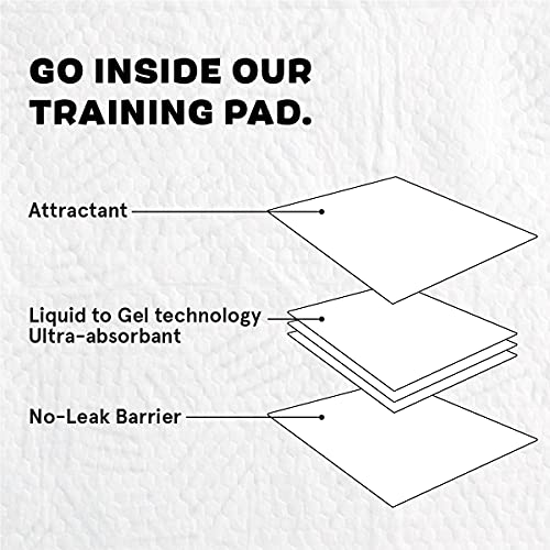 Barkbox Odorless Puppy Pads 70 Count Quick Dry, Ultra Absorbent Dog