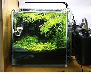 Amazon Chihiros Cシリーズadaスタイル植物を育てるledライトミニナノクリップアクアリウム水植物水槽新入荷しました ランプ ペット用品 通販