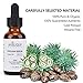Castor Oil for Eyelashes and Eyebrows, 100% Pure, Organic and Cold Pressed, Promote Natural Growth for Lash and Brows, with Treatment Applicator Kit