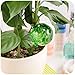 OLSAinny Sudopo Dealglad 2pcs Glass Ball Automatic Watering Globes Plants Flowers Irrigation Tool (Blue + Green)