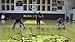 Ball Hog Ball Handling Gloves (Unweighted) (XL (H.S./College))
