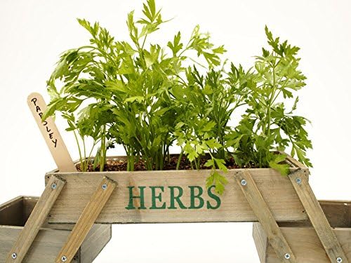 muebles bonitos - Mini Huerta Modelo Plegable: Amazon.es: Hogar