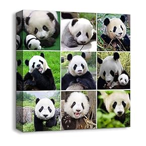 Canvas Wall Art Animals Plants Collage Ideas Home Wall Decorations for Bedroom Living Room Oil Paintings Canvas Prints Framed - 12x12 inches