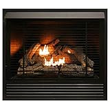 Duluth Forge FDI32R Dual Fuel Ventless Fireplace Insert - 32,000 BTU, Remote Control