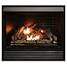 Duluth Forge FDI32R Dual Fuel Ventless Fireplace Insert - 32,000 BTU, Remote Control primary