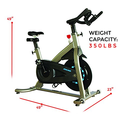 asuna 4200 upright bike