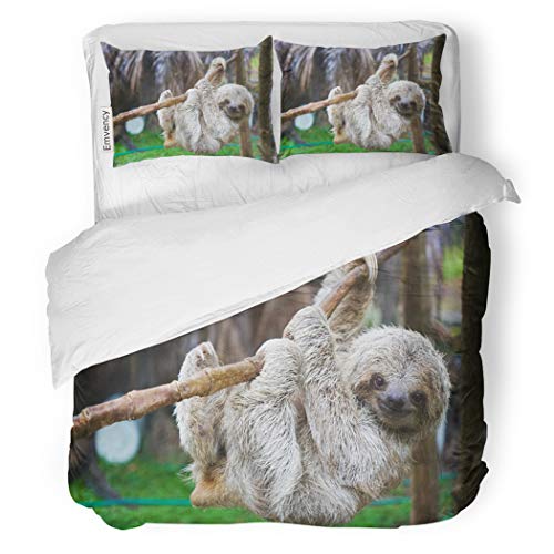 10 best sloths bed set for 2019 Infestis Reviews